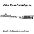 Edible Straws Strach Straw Processing Machine