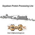 Automatic Textured Soy Chunks Processing