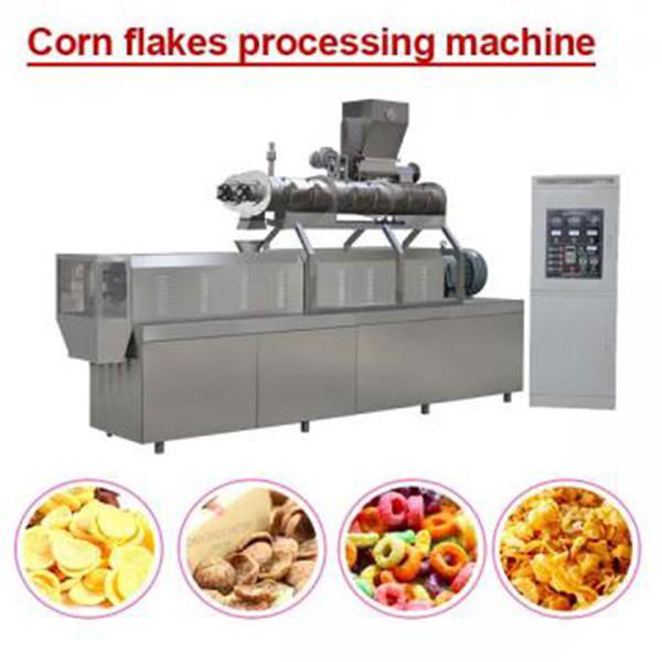 Corn Curls Cheese Ball Puff Snacks Processing Extruder 2