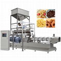 Snack Food Processing Machine 1