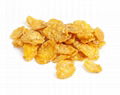 Corn flake production line