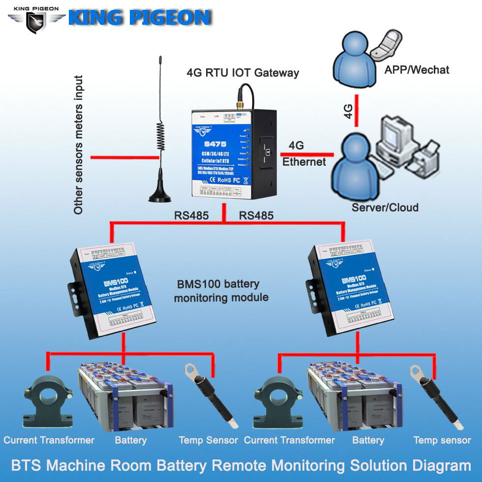 King Pigeon Battery Management System BMS100 2