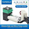 Small diaphragm brushless dc air pump