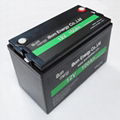  LiFePO4 Battery