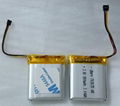 Lithium Polymer Batteries