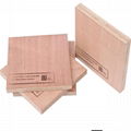 waterproof plywood for boat 2