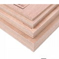 waterproof plywood for boat 3