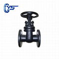 Gost  Cast Iron Gate Valve Z44T-10/Z41T-16   1