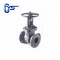 Gost Light Type Steel Gate Valve