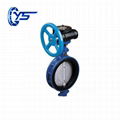 LTD3 / 6 / 971X-10 / 16 Lug Wafer Centerline Butterfly Valve 1