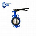 D71X-10 / 10Q / 16 / 16Q Wafer Centerline Butterfly Valve   1