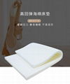加工定製高密度海綿床墊 學生宿舍海綿床墊 榻榻米高回彈日本床墊