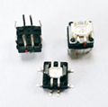 6X6mm RGB LED tact push switch 2