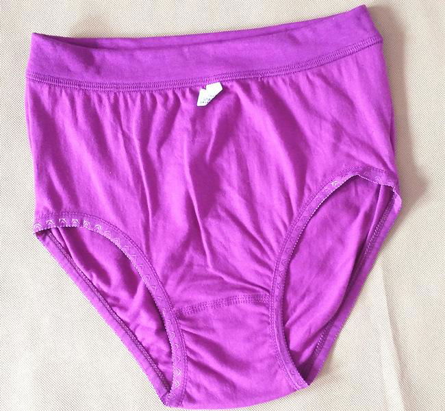 women's high waist underwear panties 3