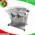 Commercial garlic chopping machine 1