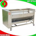 Brush potatoes peeling&cleaning machine for sale