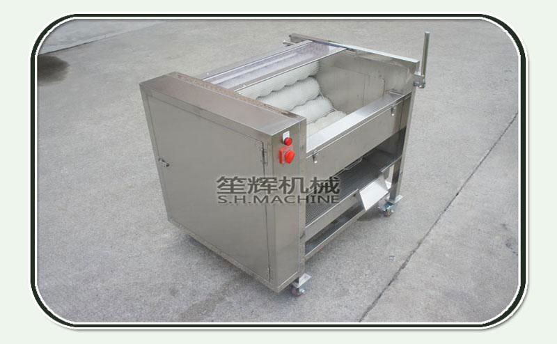 Brush potatoes peeling&cleaning machine for sale 4