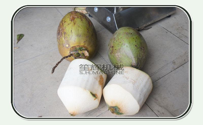 Automatic coconut peeling machine 5