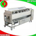 Fruit and vegetable processing line