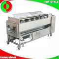 Fruit and vegetable processing line machine