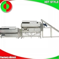 Fruit and vegetable processing line machine 2