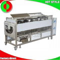 Fruit and vegetable processing line machine