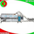 Fruit and vegetable processing line machine