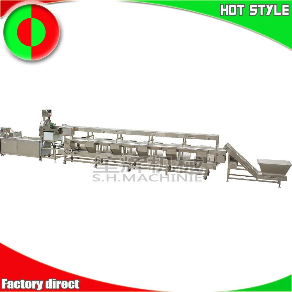 Fruit and vegetable processing line machine 5