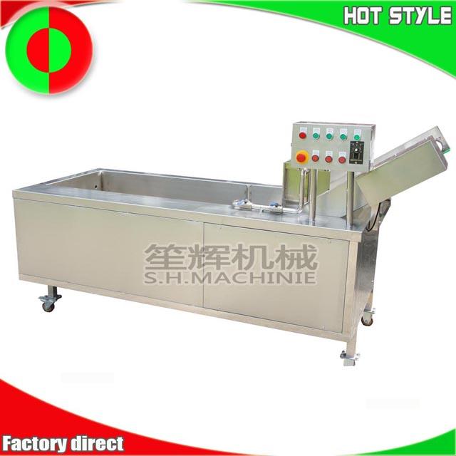 Shenghui factory vegetable and fruit bubble washing machine for sale