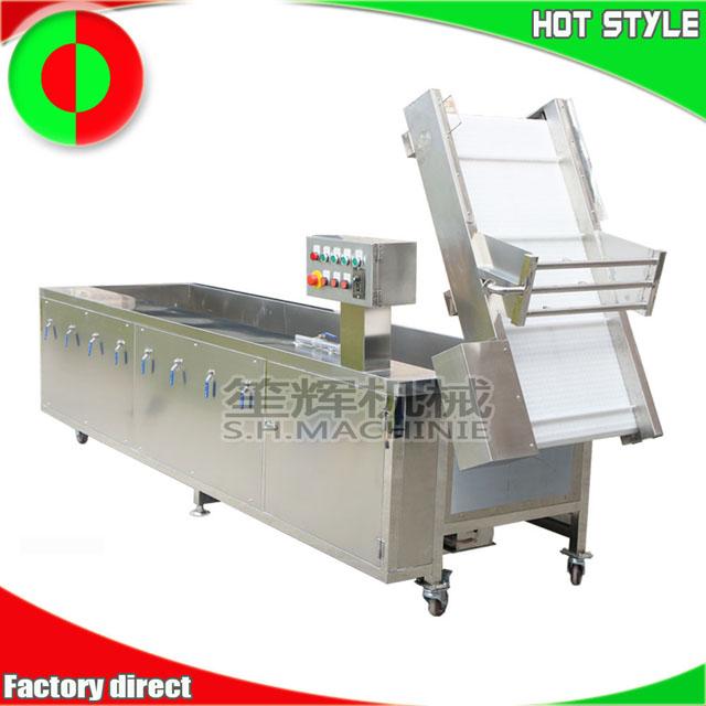 Shenghui factory vegetable and fruit bubble washing machine for sale 5