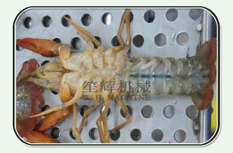Crayfish Ultrasonic Cleaner 5