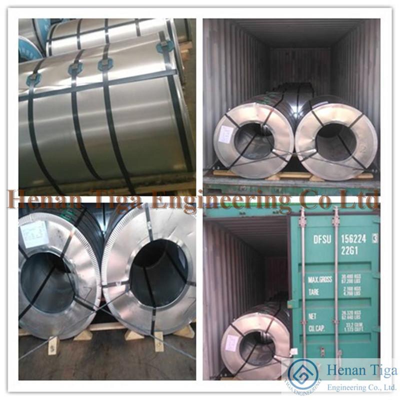 TIGA Factory supply PPGI - Prepainted Galvanized Steel Coils 4