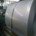 High Quality Low Price Salt Spray Hot Dipped Galvanized Steel Coils