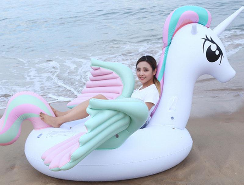 Pegasus Pool Float 2