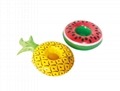 Fruit Cup Holder 1