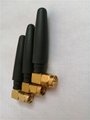 3G Rubber Antenna with SMA R/a Male Connector 50.2mm Height 2