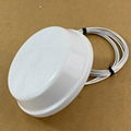 2.4G/5.8G WiFi MIMO Omni Ceiling Mount Antenna