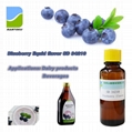 Blueberry flavor SD 34210