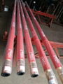 Downhole Motor