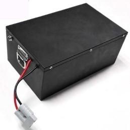 48V30Ah Lithium Iron Battery Pack Power Type Battery for AGV 3