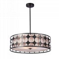 Modern chandelier 1