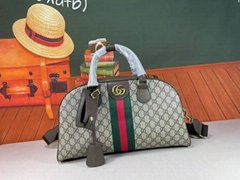 Sherry Line Hand Bag GG Canvas Leather handbags women bags 