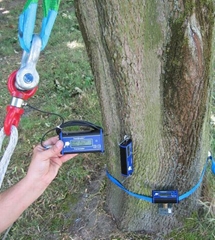 德国Argus PiCUS TreeQinetic树木拉伸测试仪