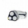 Aluminum Conductor Standard Size Of