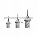 Factory Sale Overhead Acsr Hard Drawn Stranded Overhead Aluminum Bare Conductors