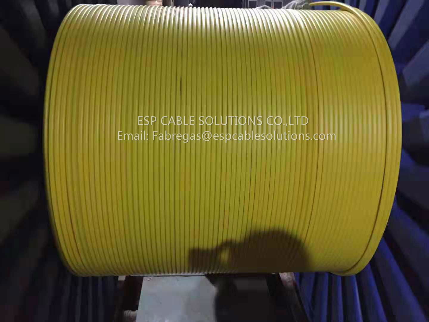 18AWG Tubing Encapsulated CableTEC Cable ESP Cable Solutions (China