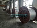 Electrical Submersible Pump (ESP) Cable