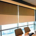 China factory wholesale price roller blind with blackout fabric 5