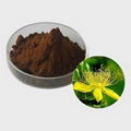 Hypericum Perforatum Extract Powder