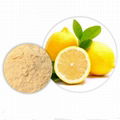 Lemon Juice Powder